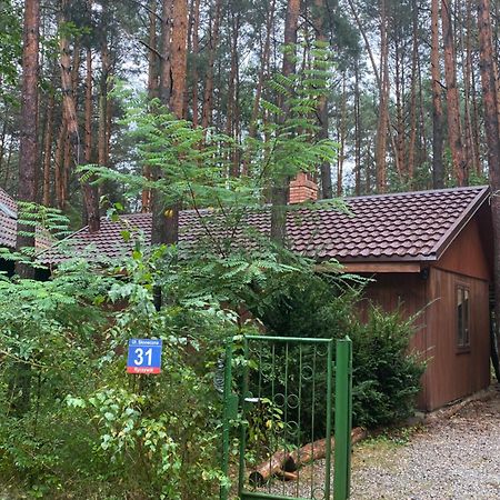 Przytulny Domek W Lesie Blisko Rzeki Ryczywol  Esterno foto