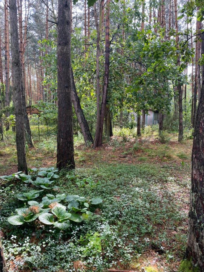 Przytulny Domek W Lesie Blisko Rzeki Ryczywol  Esterno foto