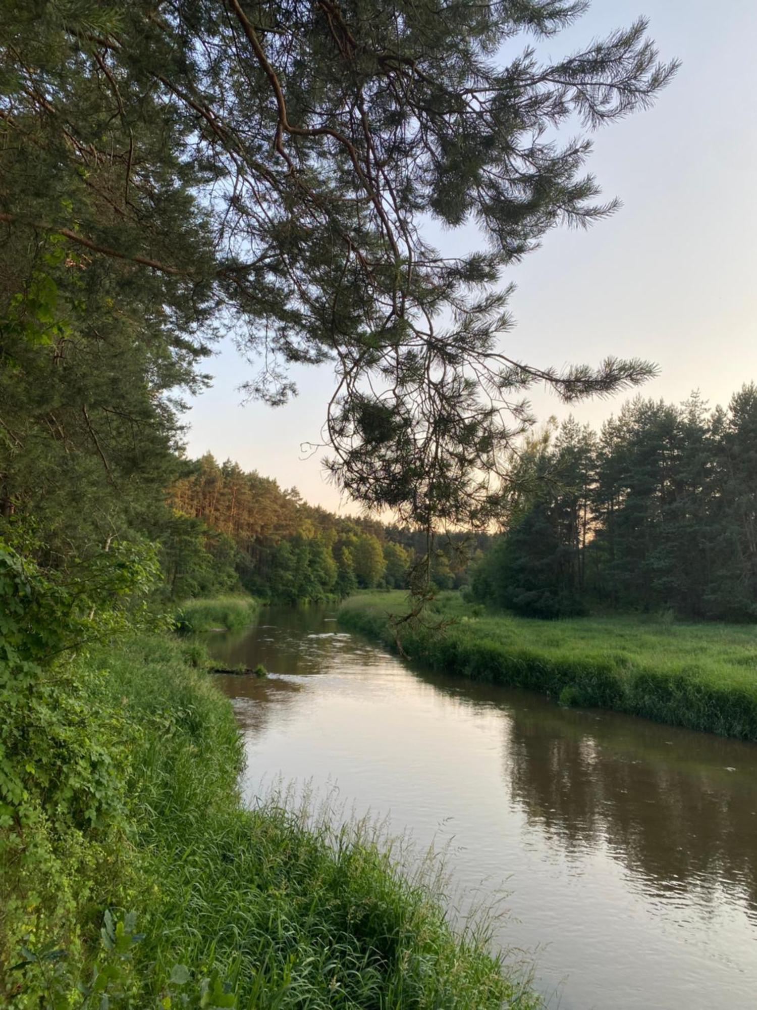 Przytulny Domek W Lesie Blisko Rzeki Ryczywol  Esterno foto