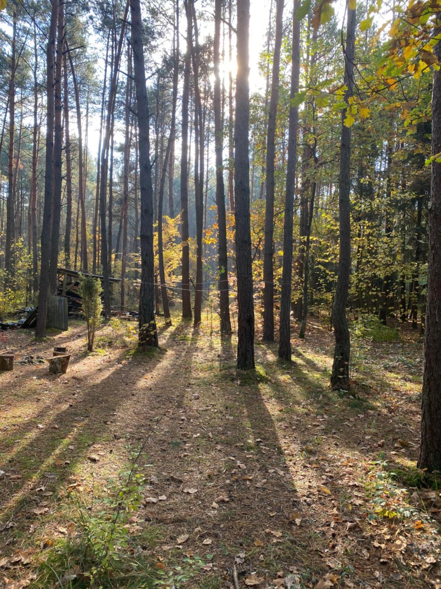 Przytulny Domek W Lesie Blisko Rzeki Ryczywol  Esterno foto