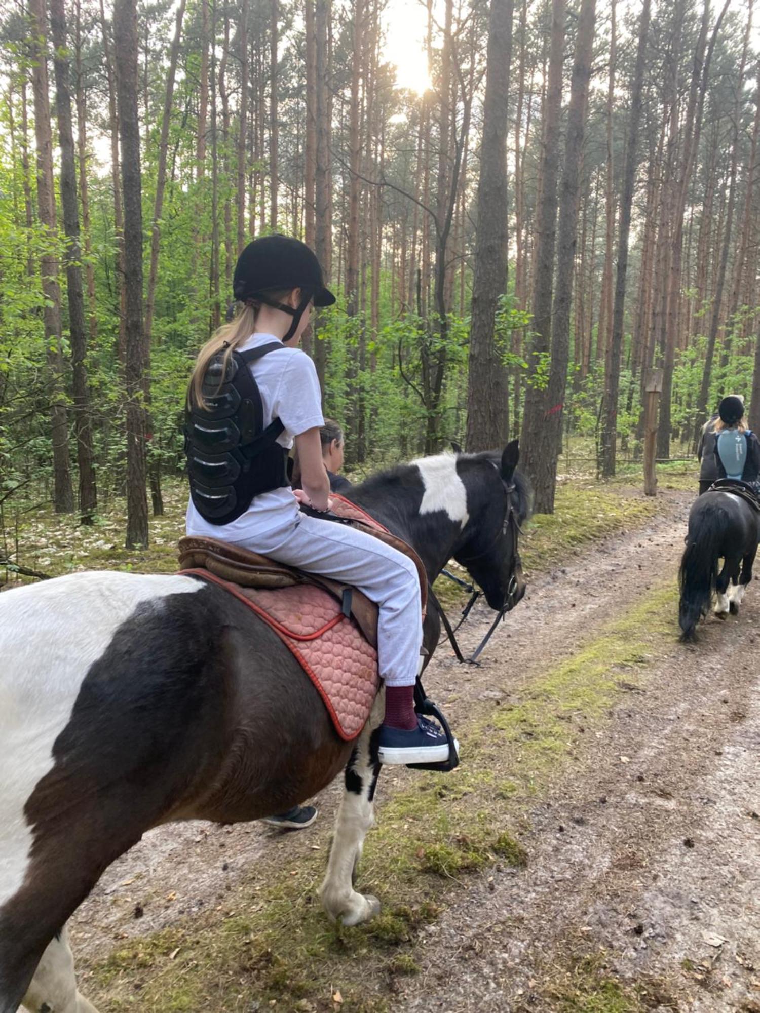 Przytulny Domek W Lesie Blisko Rzeki Ryczywol  Esterno foto